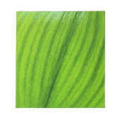 Lily of the Valley Notizblock (Vorderseite)