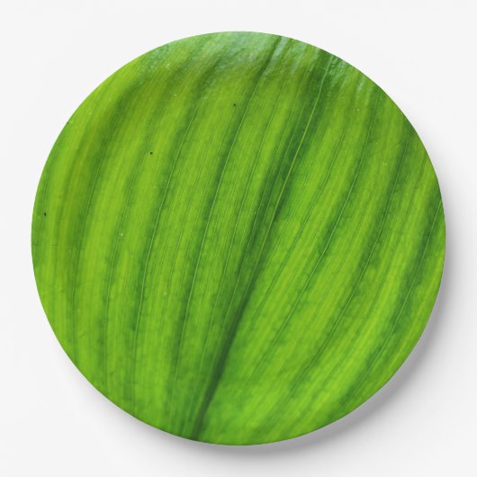 Lily of the Valley Paper Plate Pappteller (Vorderseite)