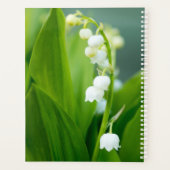 Lily of the Valley Planer (Rückseite)