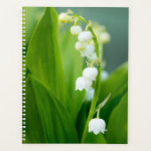 Lily of the Valley Planer (Vorderseite)