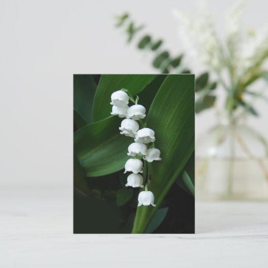 Lily of the Valley Postcard Postkarte (Stehend Vorderseite)
