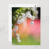 Lily of the Valley Postcard Postkarte (Vorne/Hinten)