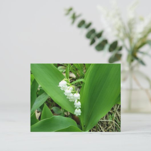 Lily of the Valley Postcard Postkarte (Stehend Vorderseite)