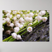 Lily of the Valley Poster (Vorne)