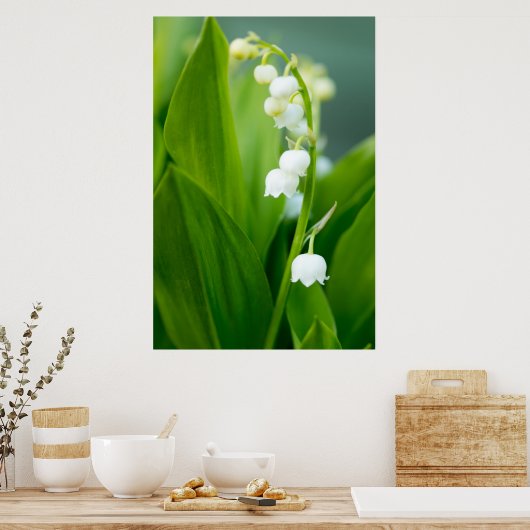Lily of the Valley Poster (Küche)