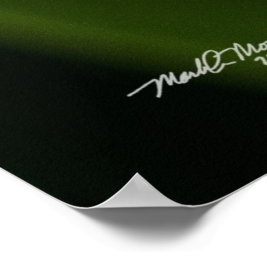 Lily of the Valley Poster (Ecke)