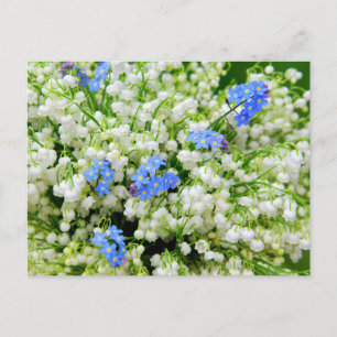 Lily of the valley postkarte