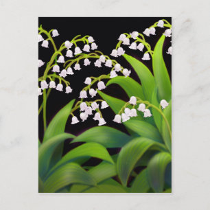 Lily of the Valley Postkarte