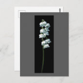LILY OF THE VALLEY POSTKARTE (Vorne/Hinten)
