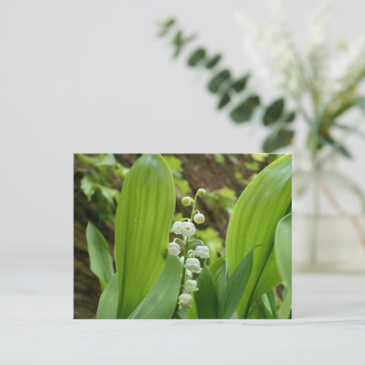 Lily of the Valley Postkarte (Stehend Vorderseite)