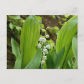 Lily of the Valley Postkarte (Vorderseite)