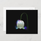 LILY OF THE VALLEY POSTKARTE (Vorne/Hinten)