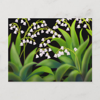 Lily of the Valley Postkarte