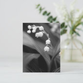 Lily of the Valley Postkarte (Stehend Vorderseite)
