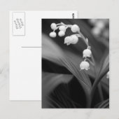 Lily of the Valley Postkarte (Vorne/Hinten)