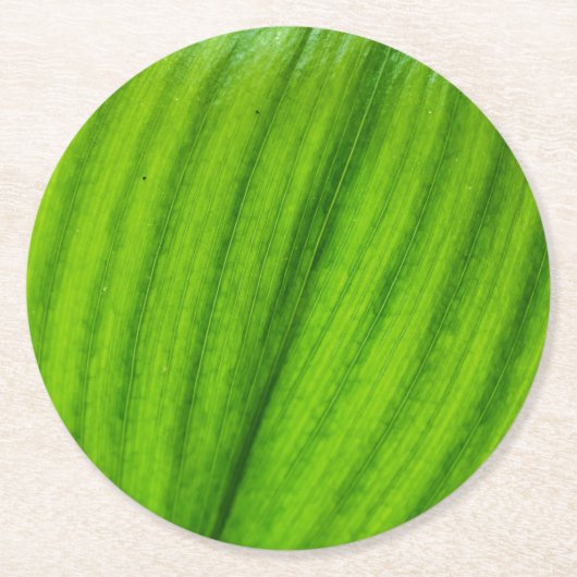 Lily of the Valley Runder Pappuntersetzer (Vorderseite)