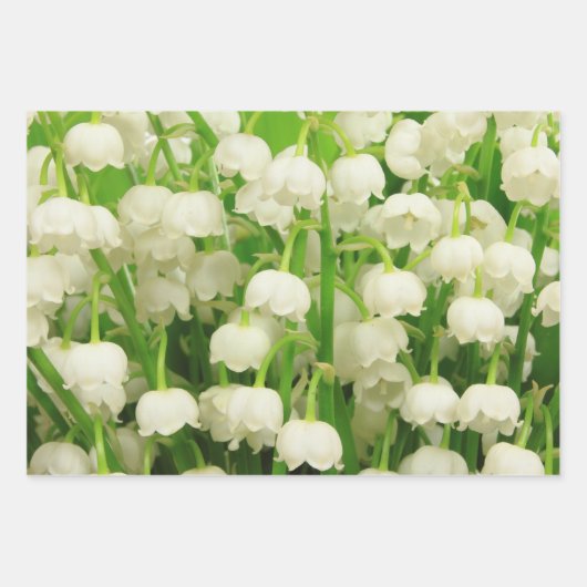 Lily of the Valley Spring Flowers Geschenkpapier Set (Vorderseite 3)