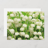 Lily of the Valley Spring Flowers Postkarte (Vorne/Hinten)