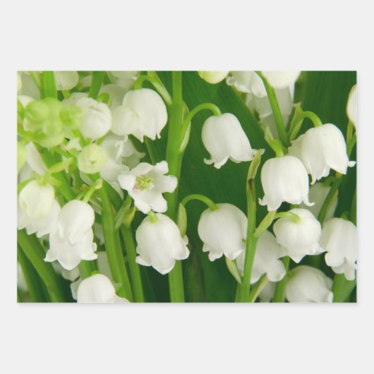 Lily of the Valley White Spring Flowers Geschenkpapier Set (Vorderseite 3)