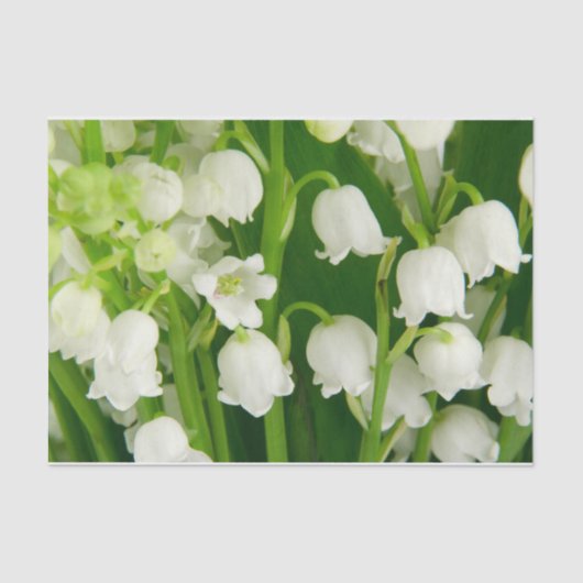 Lily of the Valley White Spring Flowers Seidenpapier (Vorderseite)