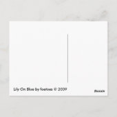 Lily on Blue Postkarte (Rückseite)