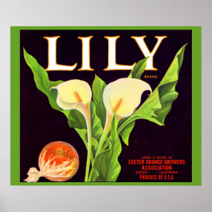 Lily-Orange-Krate-Etikett der 1930er Jahre Poster