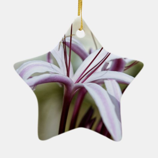 Lily Ornaments Keramikornament (Hinten)