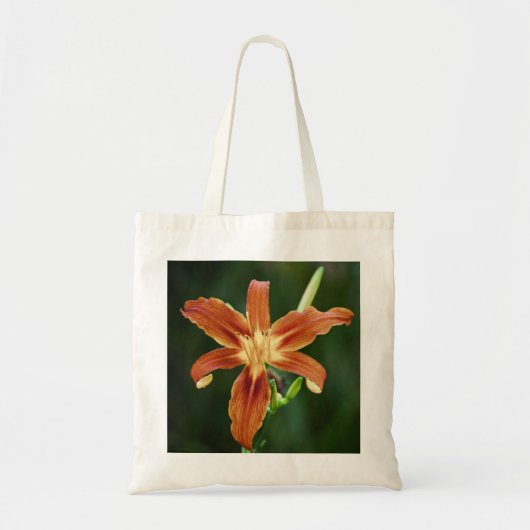 Lily P6588 Bag Tragetasche (Vorne)