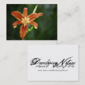 Lily P6588 Mini Print Visitenkarte (Vorne/Hinten)