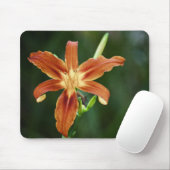 Lily P6588 Mousepad (Mit Mouse)