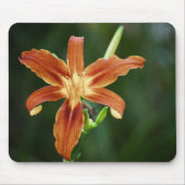 Lily P6588 Mousepad (Vorne)