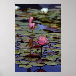Lily Pad Art Posters -24x36 - andere Größen verfüg Poster