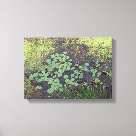 Lily Pad auf Leinwand (Vorderseite)