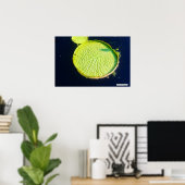 Lily Pad (Chicago) - Poster (Heimbüro)