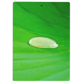 Lily Pad Clipboard Klemmbrett (Rückseite)
