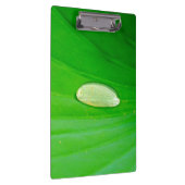 Lily Pad Clipboard Klemmbrett (Rechts)