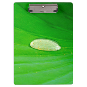 Lily Pad Clipboard Klemmbrett