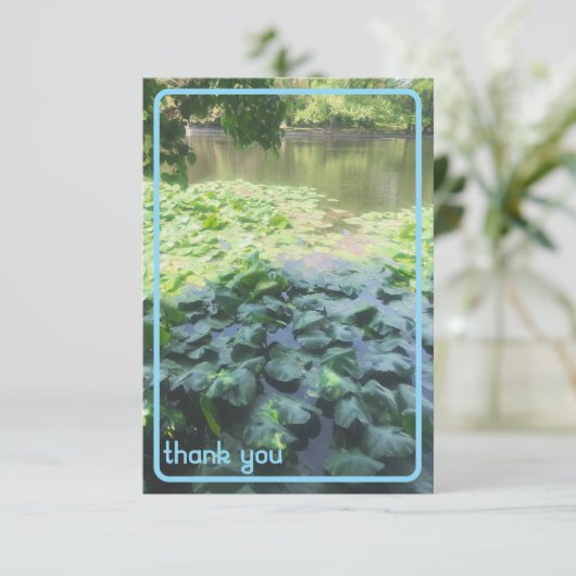 Lily Pad Dankycard Dankeskarte (Stehend Vorderseite)
