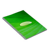 Lily Pad Foto Notebook Notizblock (Rechte Seite)