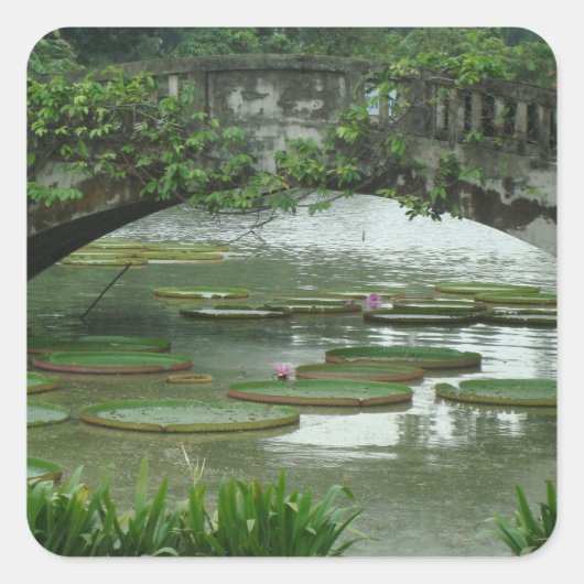 Lily Pad Foto Sticker (Vorderseite)