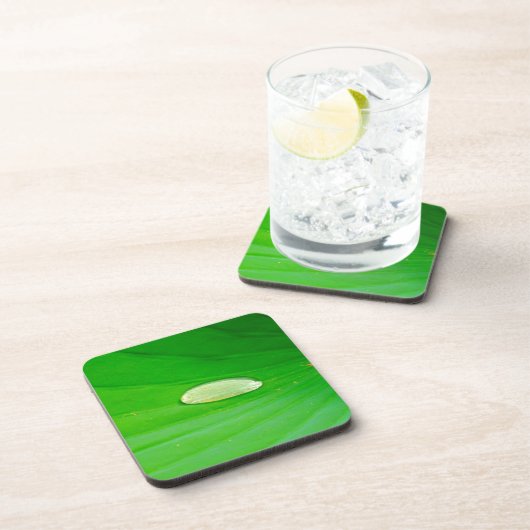 Lily Pad Hard Plastic Coaster Getränkeuntersetzer (Rechte Seite)