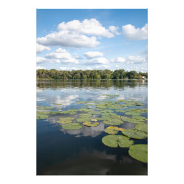 Lily Pad Lake Fotodruck