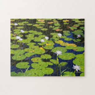 Lily Pad Pond Foto oder Ihr Foto Puzzle