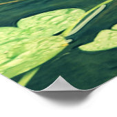 Lily Pad Pond Poster (Ecke)