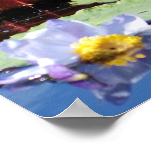 Lily Pad Poster (Ecke)