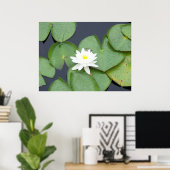Lily Pad Poster (Heimbüro)