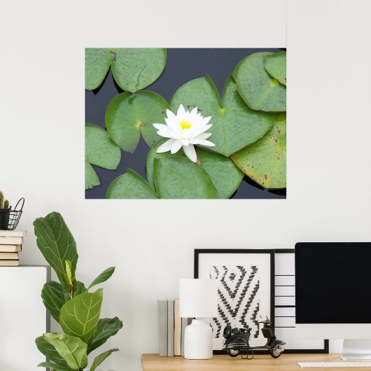 Lily Pad Poster (Heimbüro)