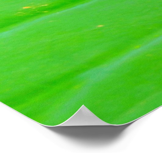 Lily Pad Poster (Ecke)