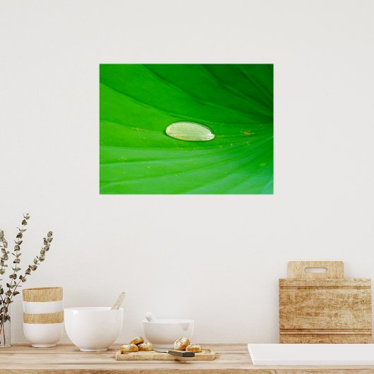 Lily Pad Poster (Küche)