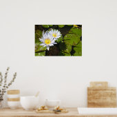 Lily Pad Print Poster (Küche)